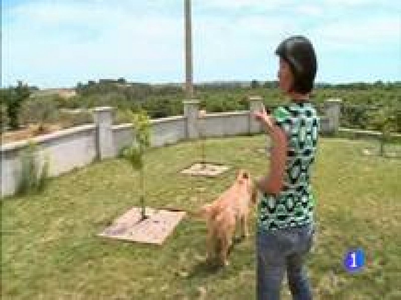 Destino: España - Cataluña II - Patricia | Ver