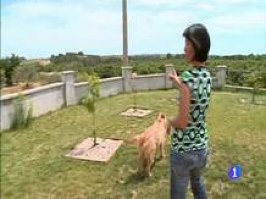 Destino: España - Cataluña II - Patricia