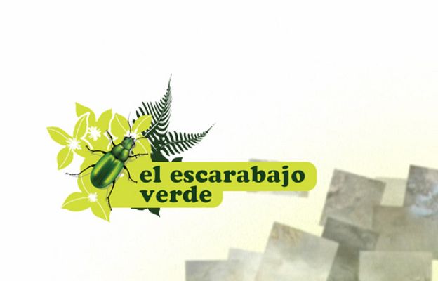El escarabajo verde - Memoria del gusto