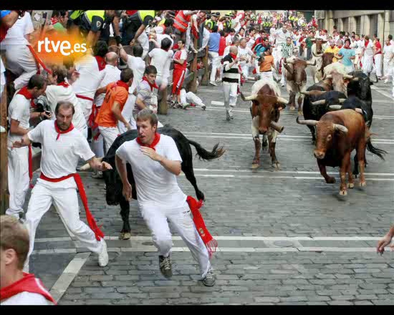 Octavo encierro 2010, por Patxi Cervantes | Ver