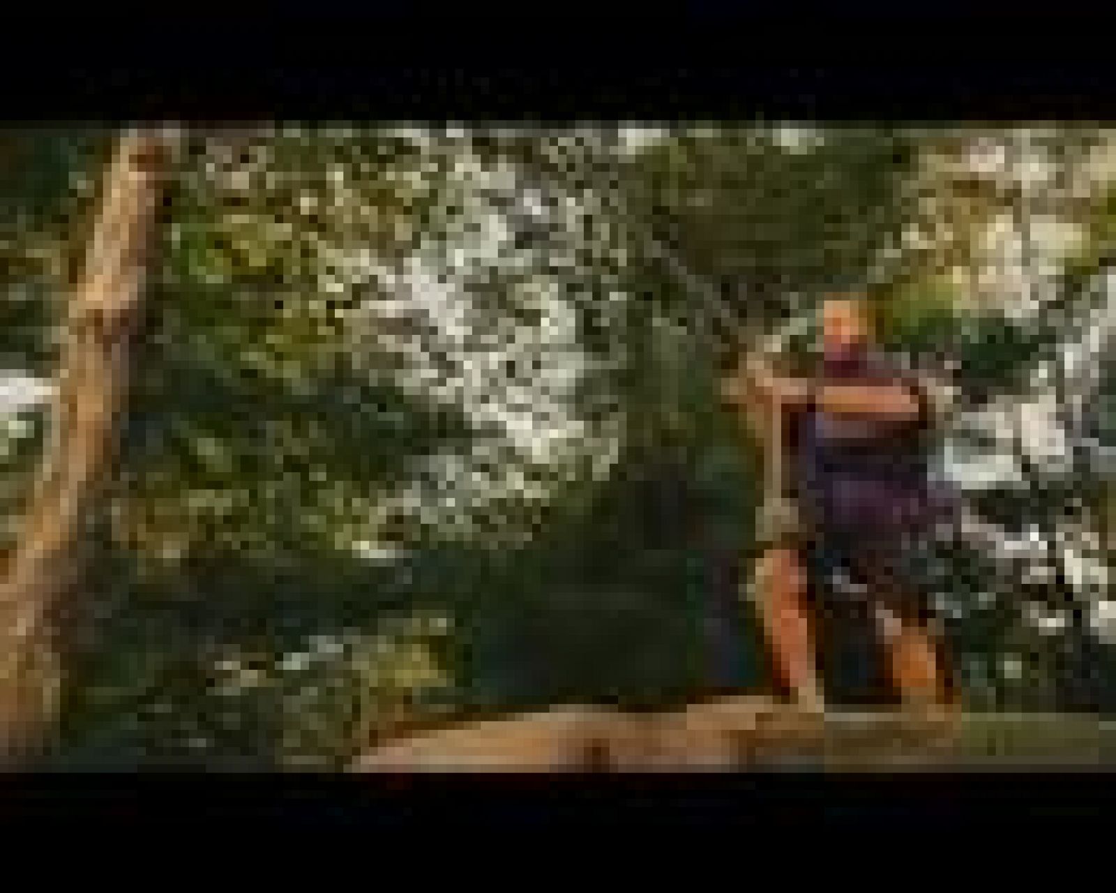 Clip de 'Niños grandes' | Ver