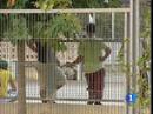  - Nuevo Código de familia catalan