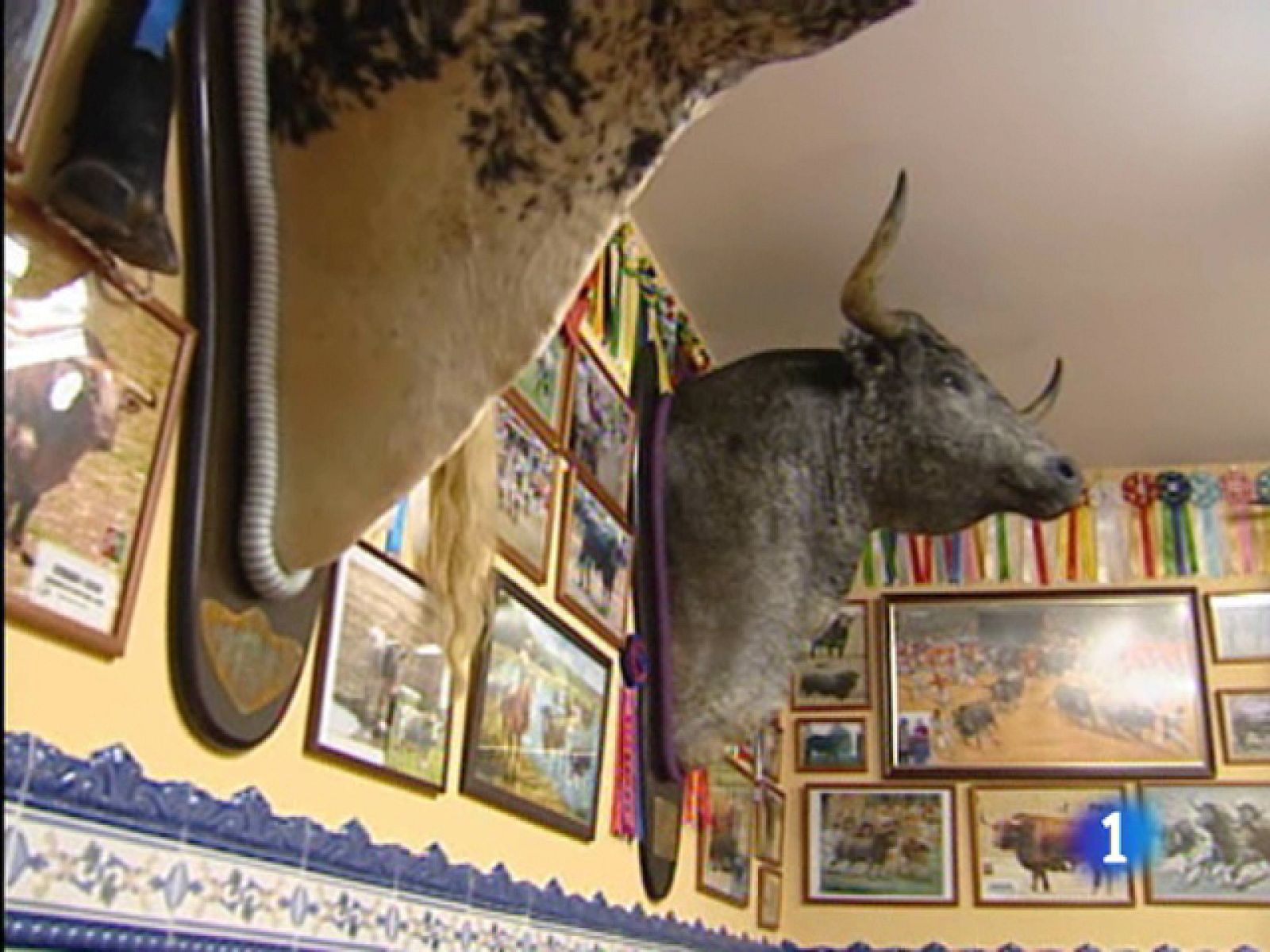 El final de la mayoría de los toros de las corridas: la decoración 