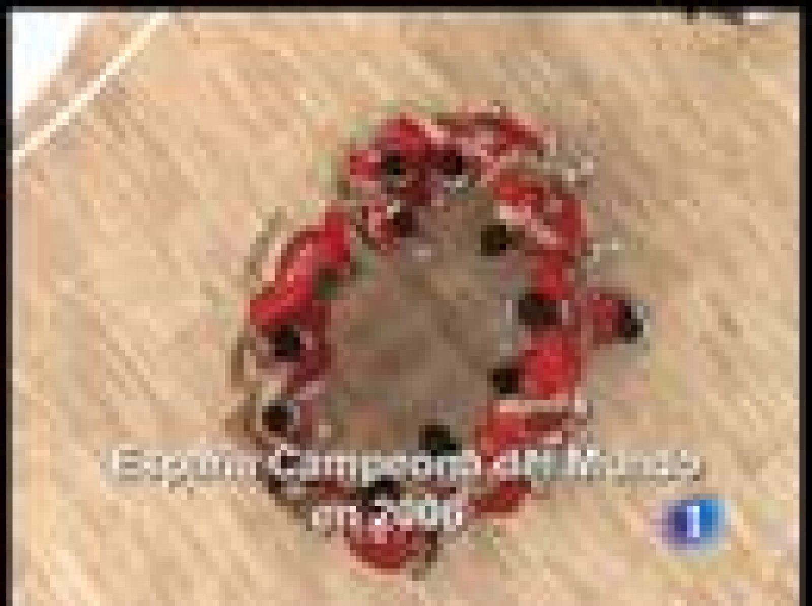 Década prodigiosa del deporte español | Ver