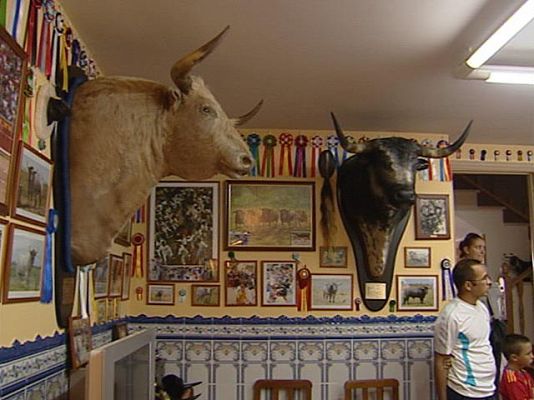 Reporteros del Telediario - Taxidermistas en Sanfermines