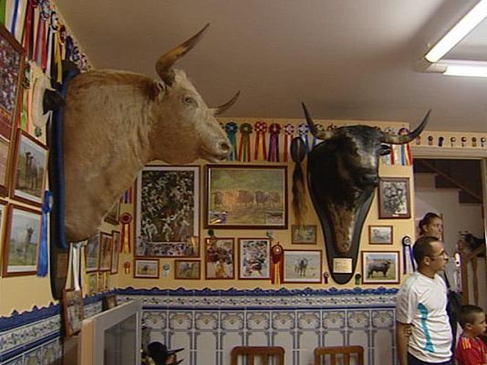 Taxidermistas en Sanfermines