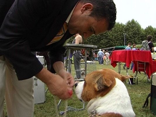 Comando Actualidad - Alimentando a 15 perros