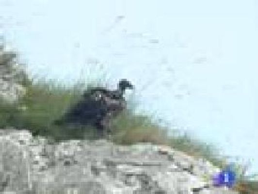 Noticias Aragón - Noticias Aragón - 15/07/10