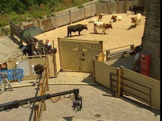  - Los Sanfermines de Bollywood