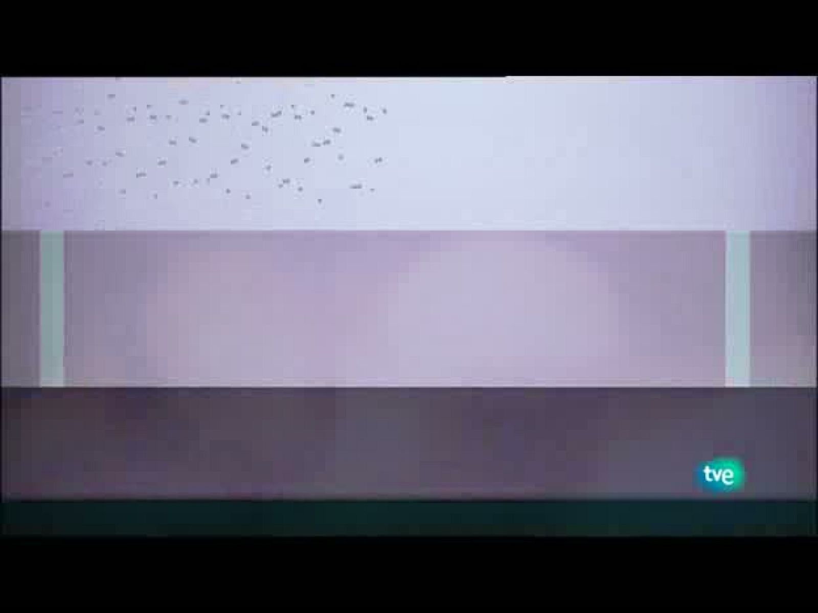 Jóvenes solistas - 18/07/10 - Jóvenes solistas | Ver