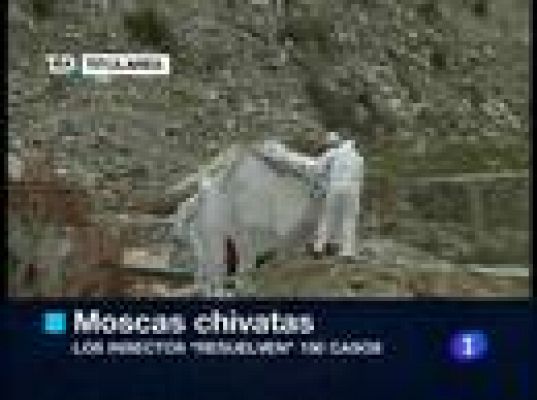 Telediario 1 - Telediario en 4' - 18/07/10