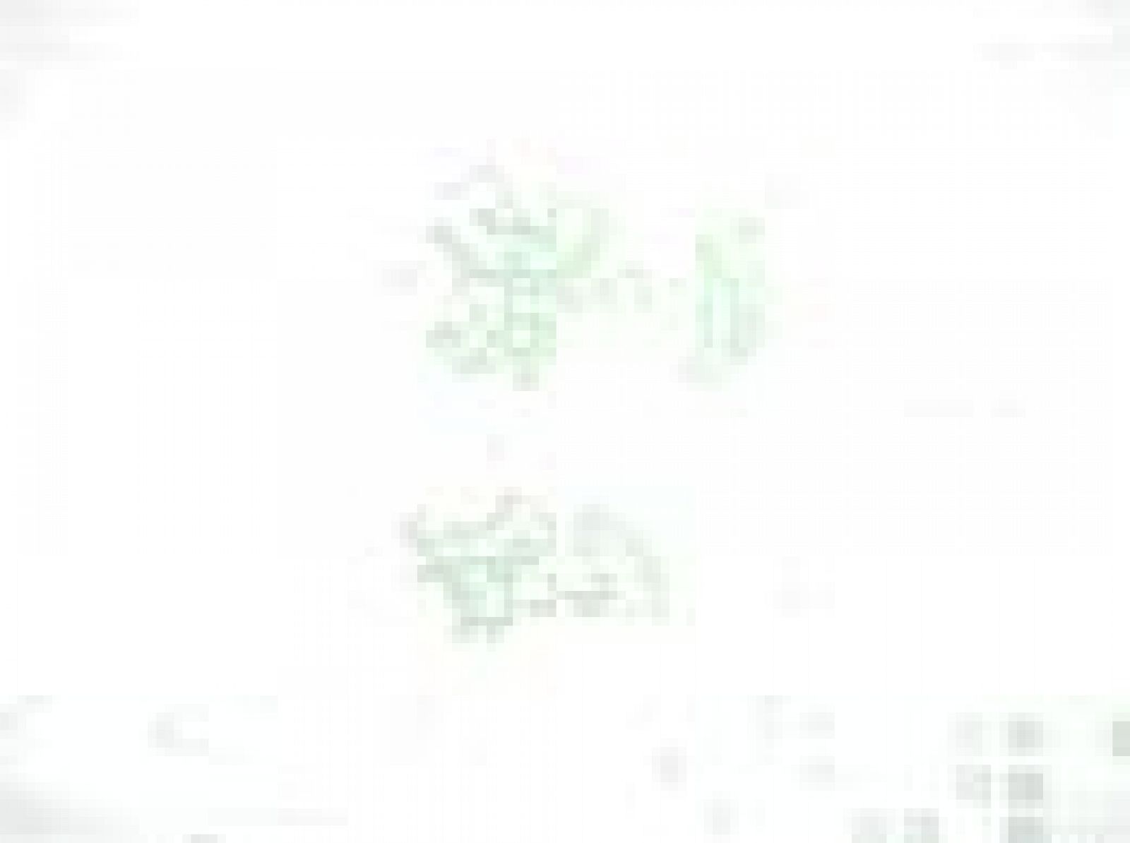 L'Informatiu. Informativo Territorial de la C. Valenciana (19/07/10)