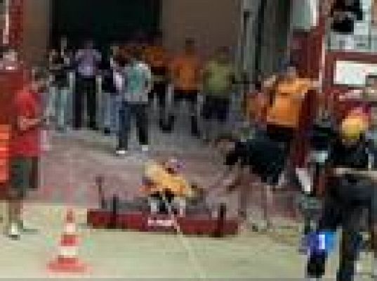  - Estos si que tiran del carro...