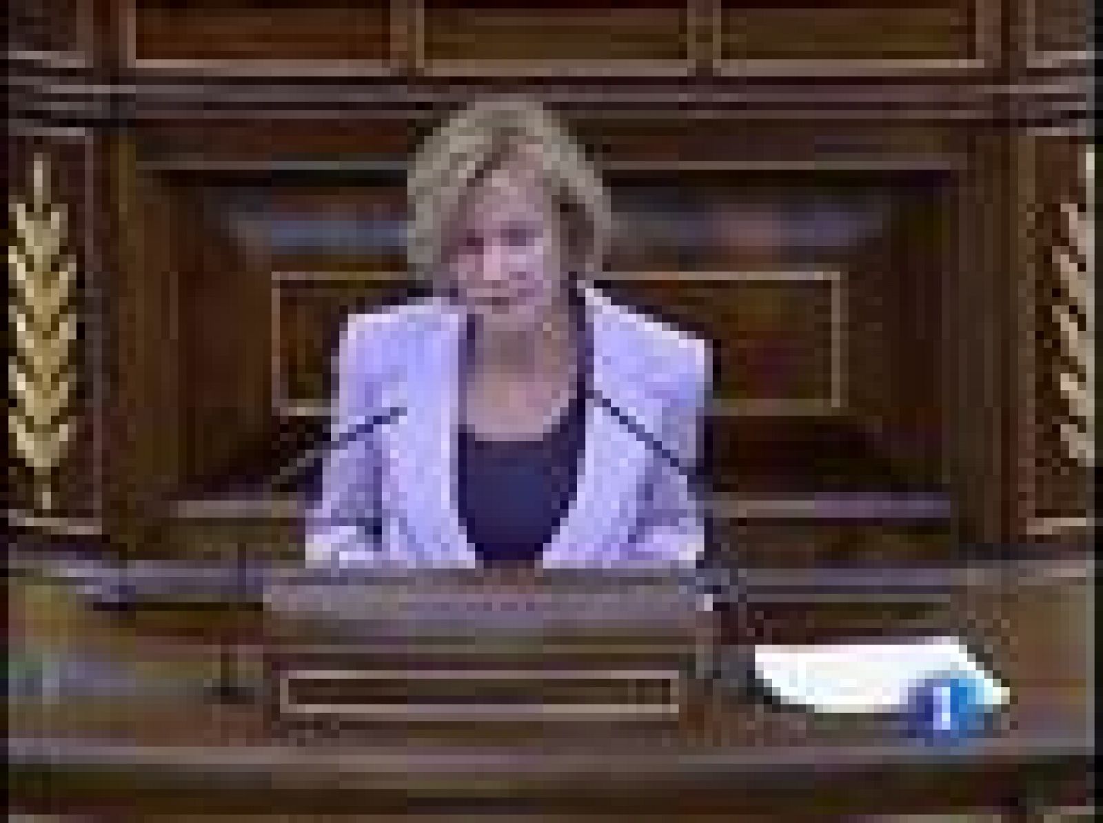 Elena Salgado: "A partir de este año 2010 el perfil de recuperación está ganando fortaleza" | Ver