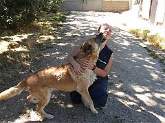 La acogida de perros, el mejor colofón
