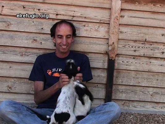 Ciencia y tecnología en Rtve.es - Cinco cachorros abandonados