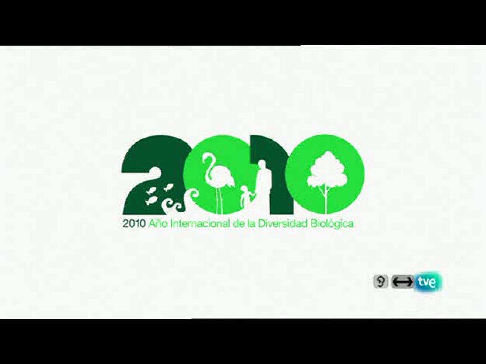 Serie: Biodiario. Dirección: Luis Miguel Domínguez. Sinopsis: Rezamos sobre una flor, la vida antigua y el alma en el comercio.