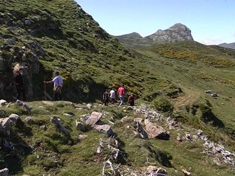 Vamos a Valle de Lago, en Asturias, y vemos que también se puede pasar el verano en contacto con la naturaleza.
