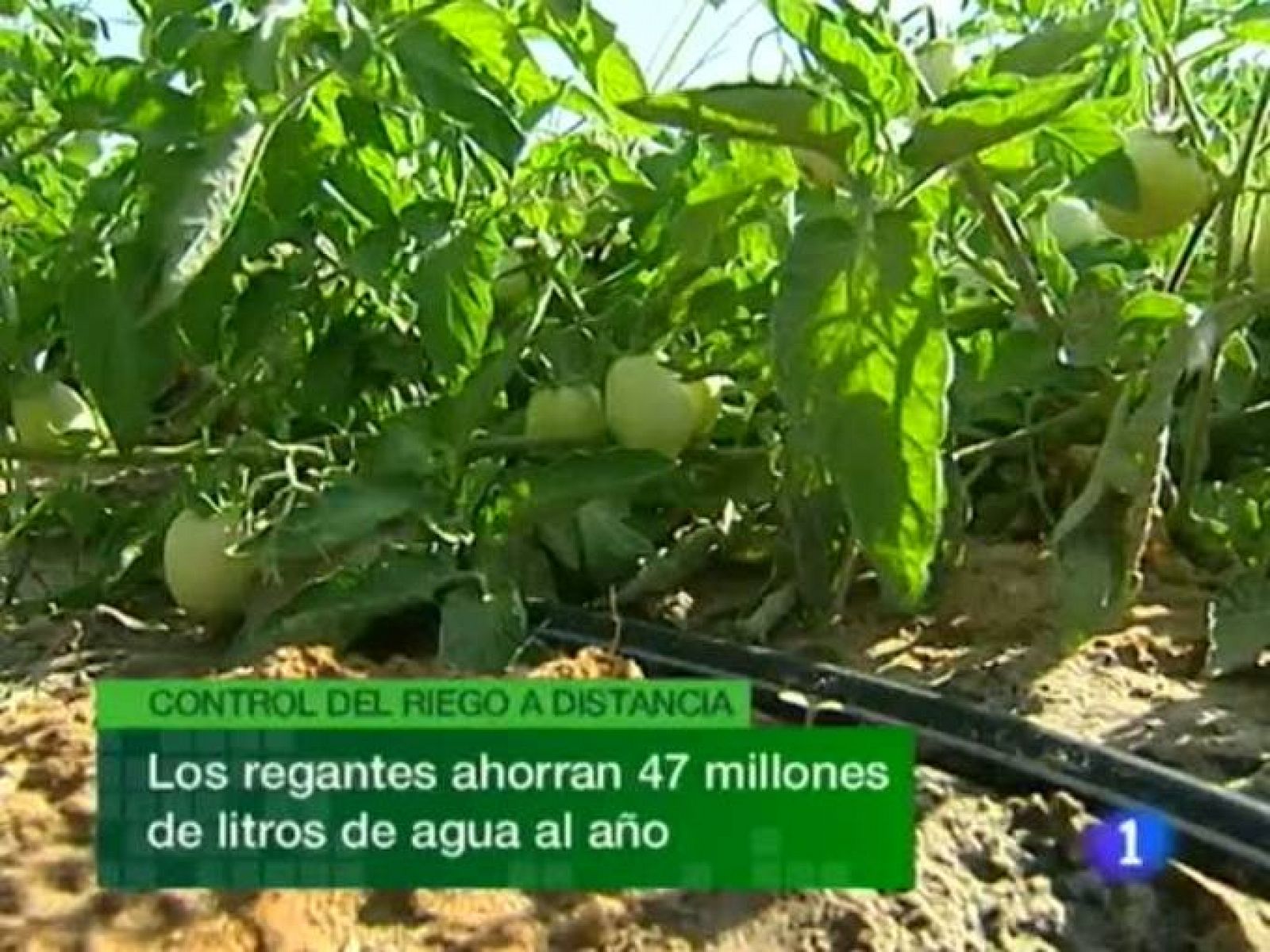 Noticias de Extremadura: Noticias de Extremadura - 22/07/10 | RTVE Play