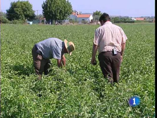 Sistema de riego pionero en España