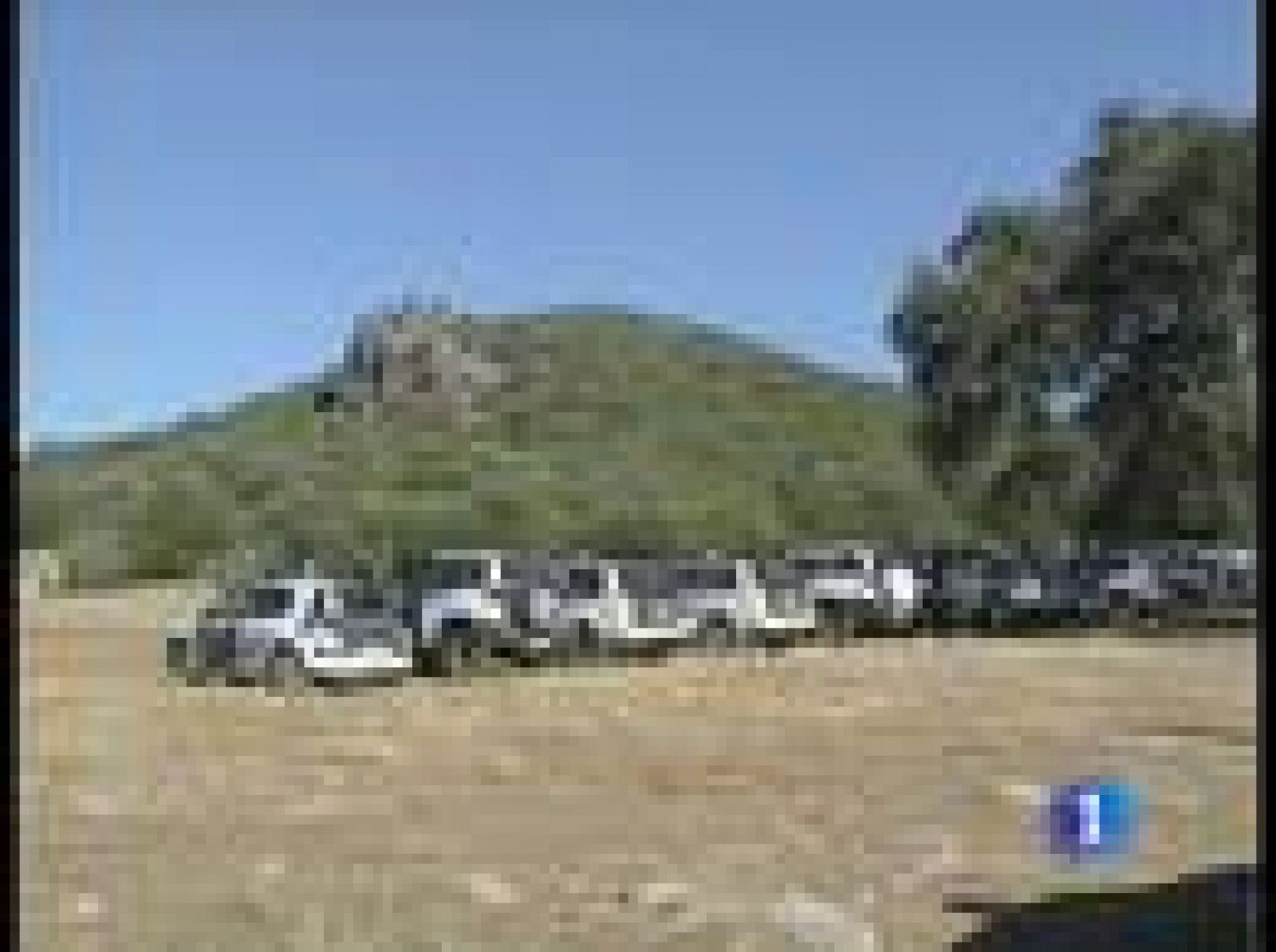 La Guardia Civil rescata en un monte de Córdoba el cádaver de un niño | Ver