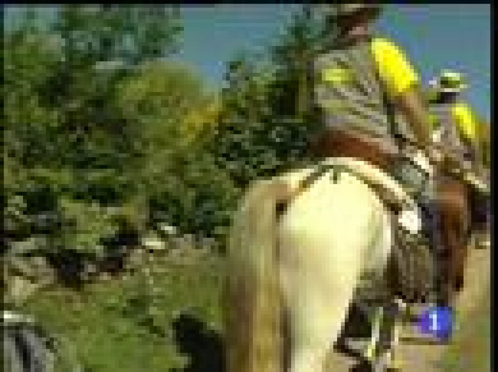 Informe Semanal: La magia del Camino de Santiago