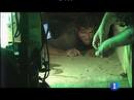  - 'Enterrado' de Rodrigo Cortés