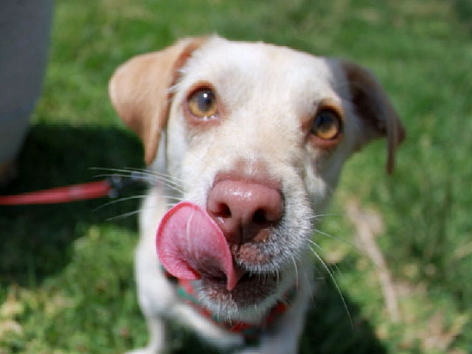 Cámara abierta 2.0 - El concurso de fotografía de PhotoEspaña y Cámara Abierta nos deja imágenes como éstas - Cámara abierta | Ver