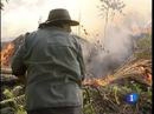 El fuego causa estragos en Portugal