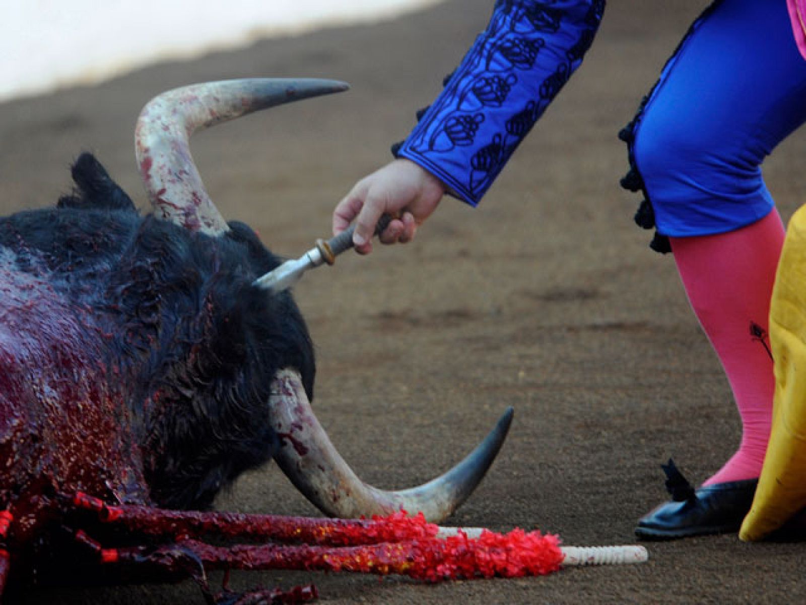 El Parlamento catalán decidirá este miércoles si prohíbe las corridas de toros en Cataluña | Ver