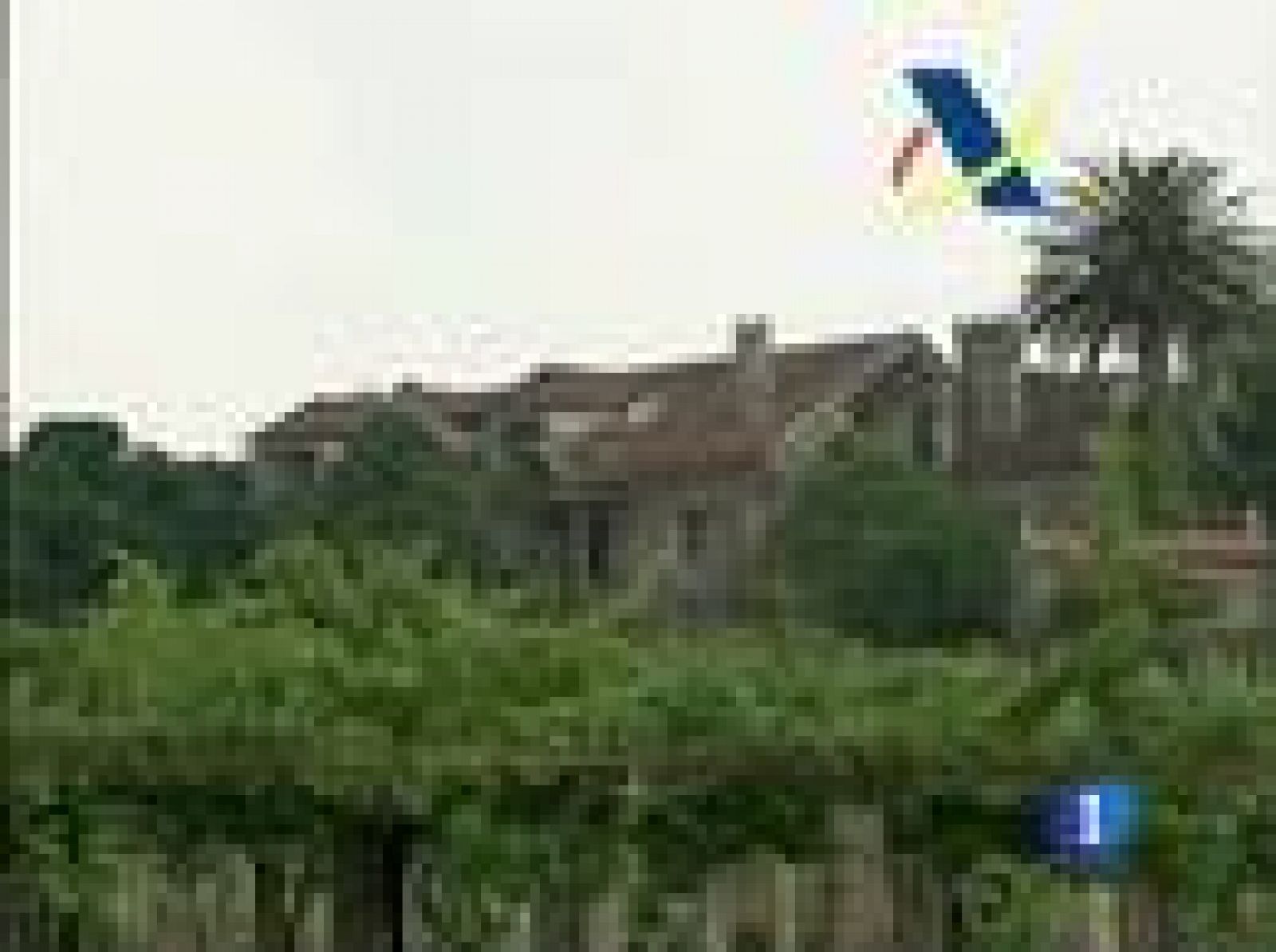 La Agencia Tributaria subastará en octubre los bienes decomisados a la red de narcotráfico de "Los Charlines" | Ver