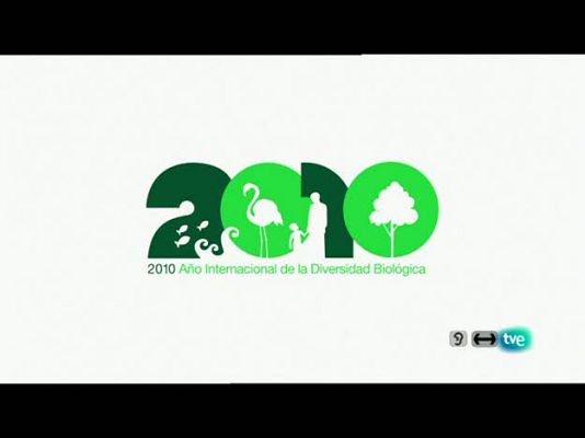 Biodiario - La espátula, Haciendo navajas