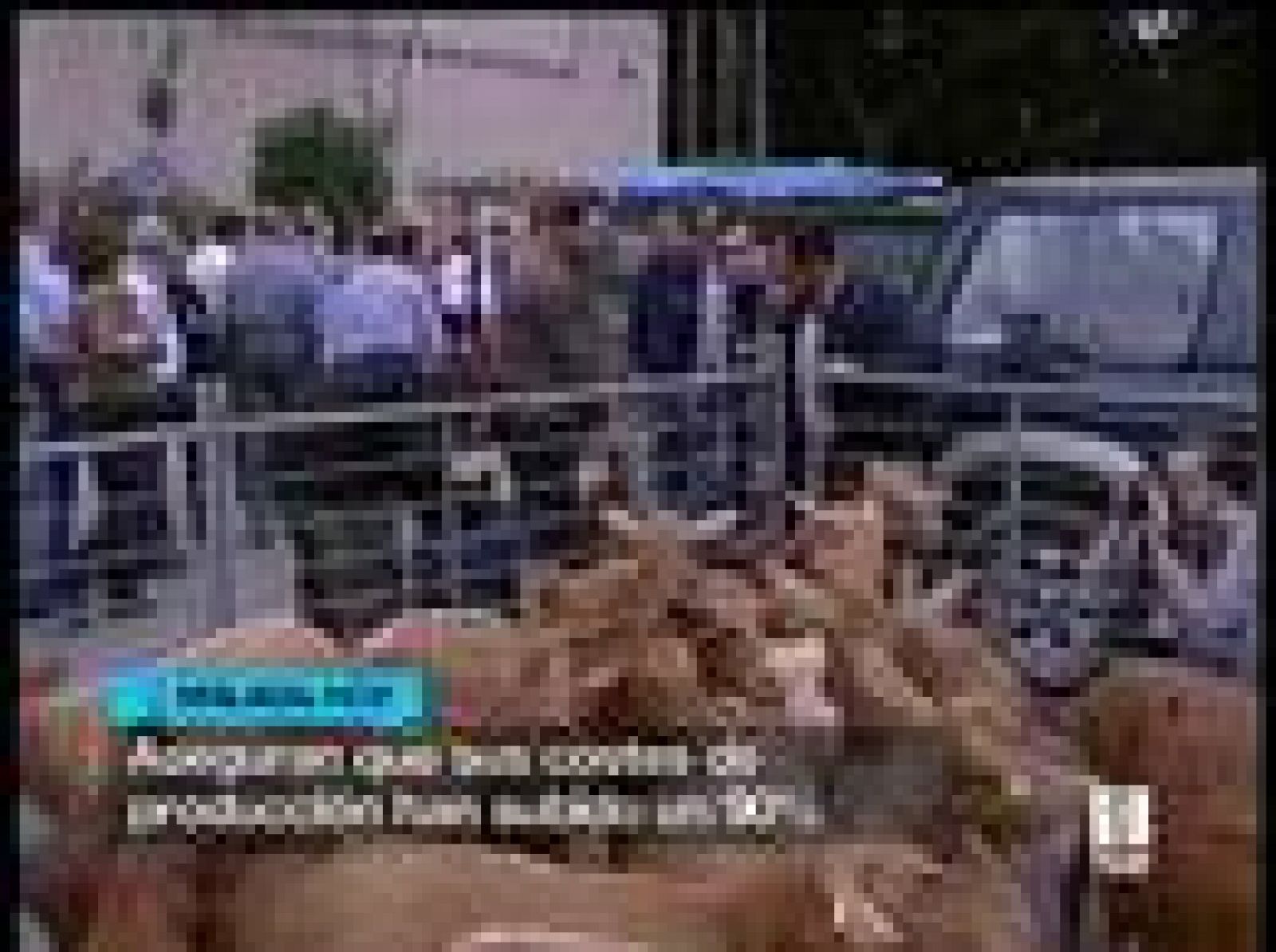 Sin programa: Los ganaderos vuelven a la calle | RTVE Play