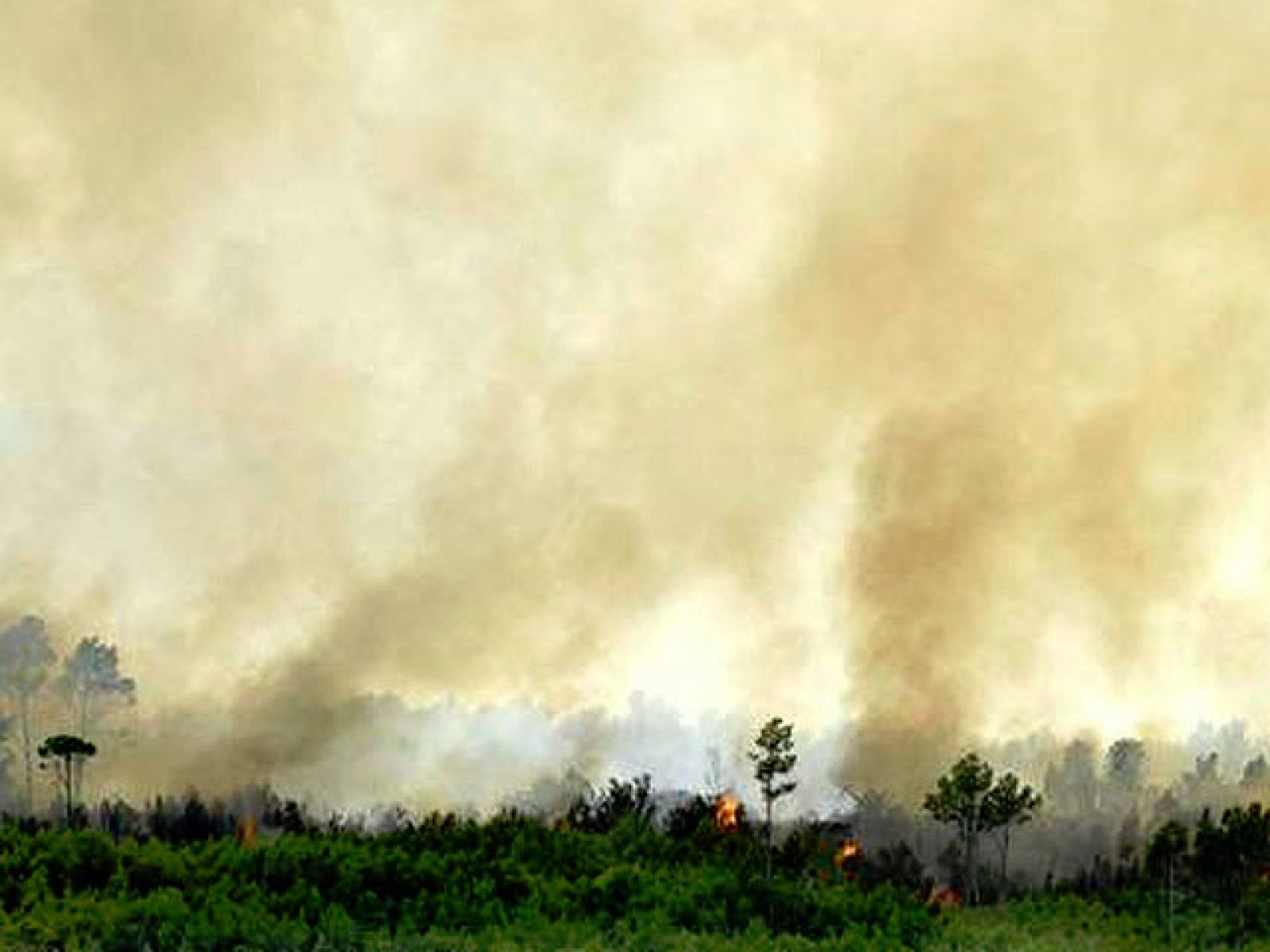 Cuarenta dotaciones de bomberos trabajan en la extinción del fuego declarado en Vilopriu (Girona)