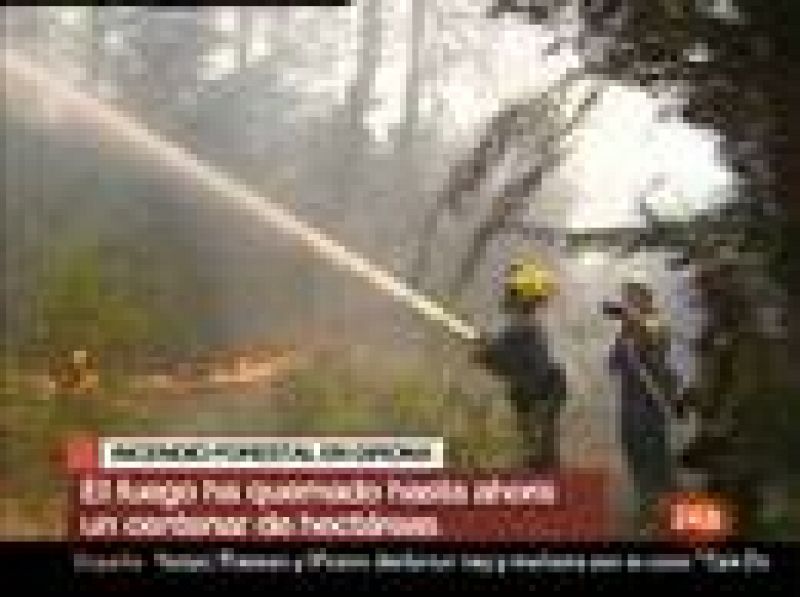 Cuarenta dotaciones de bomberos trabajan en la extinción del fuego declarado en Vilopriu (Girona)