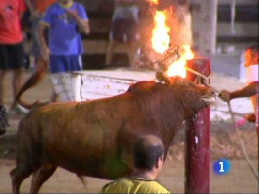  - Correbous no ha sido prohibido