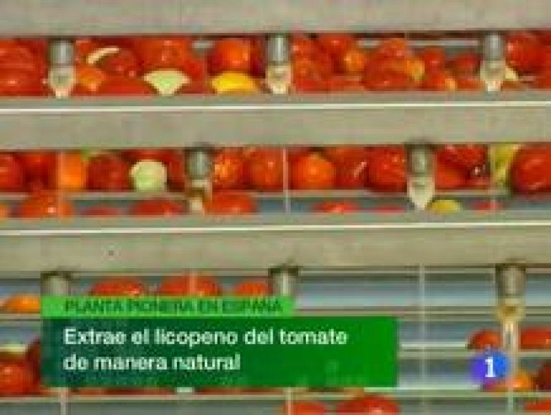 Noticias de Extremadura. Informativo Territorial de Extremadura. (29/07/10)