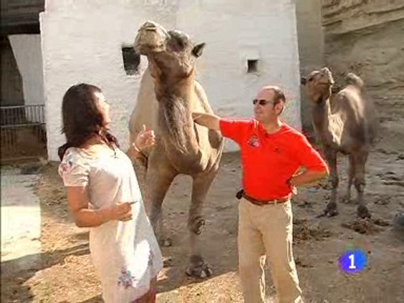 Comando Actualidad nos muestra la dureza de las altas temperaturas en distintas puntos de España