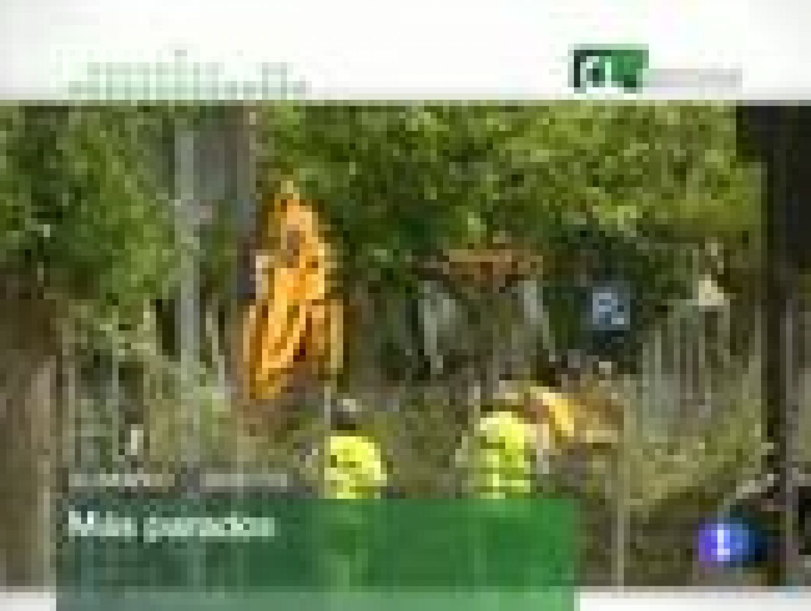 Noticias Castilla y León. Informativo Territorial de Castilla y León. (30/07/10)