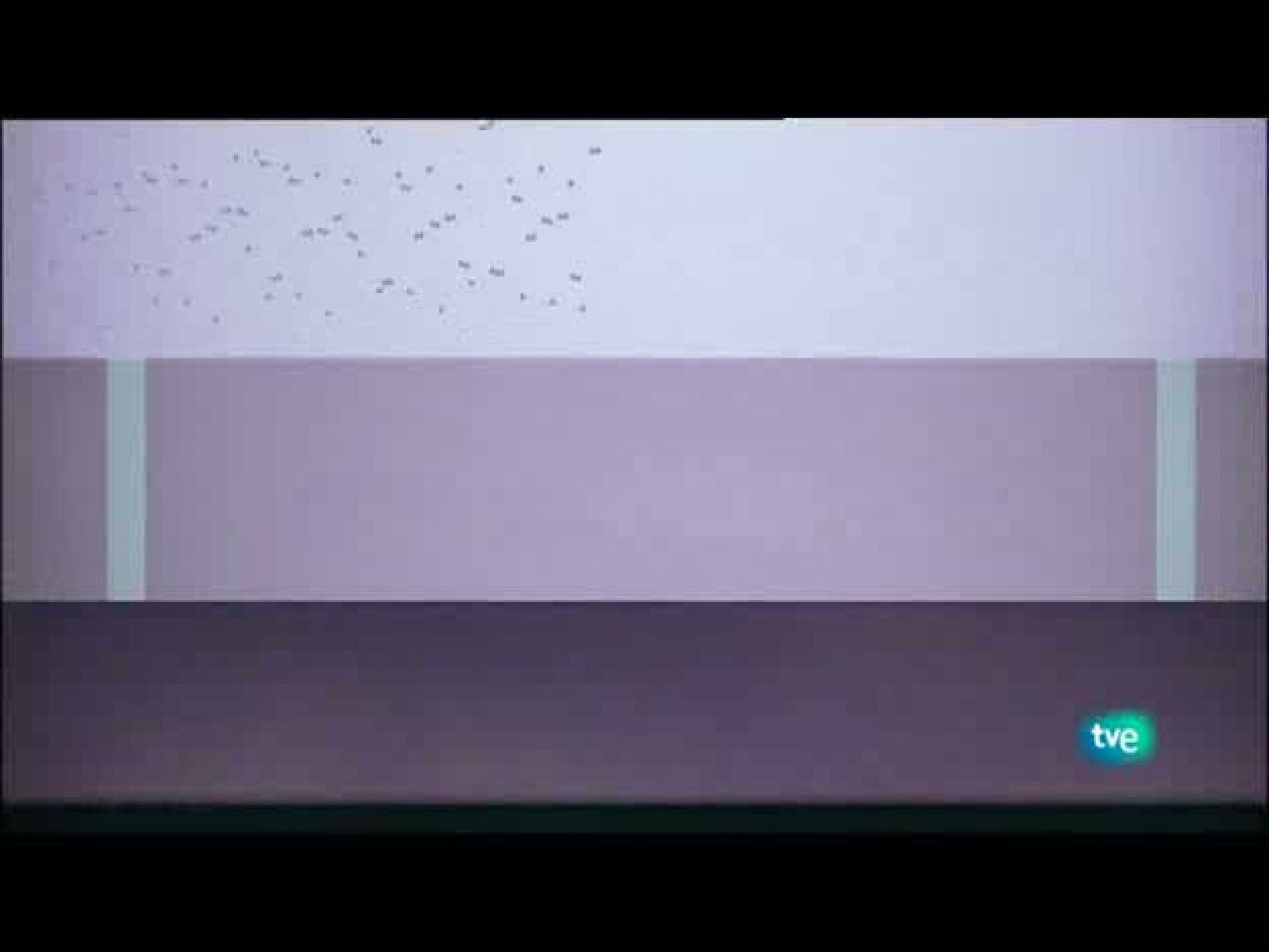 Jóvenes solistas - 31/07/10 - Ver ahora