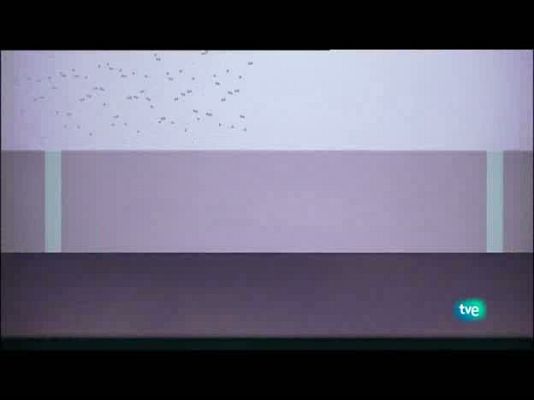 Jóvenes solistas - Jóvenes solistas - 31/07/10