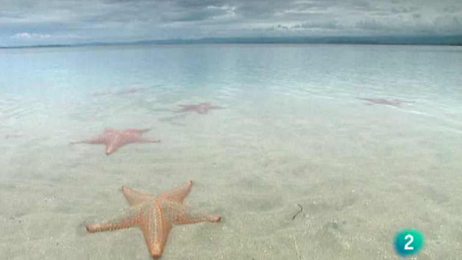 América total - Bocas del Toro