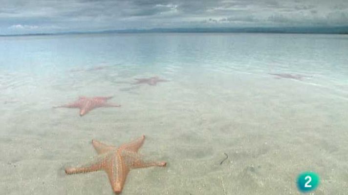 Bocas del Toro