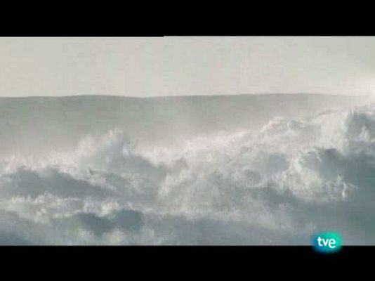 La dieta mediterránea - El pescado