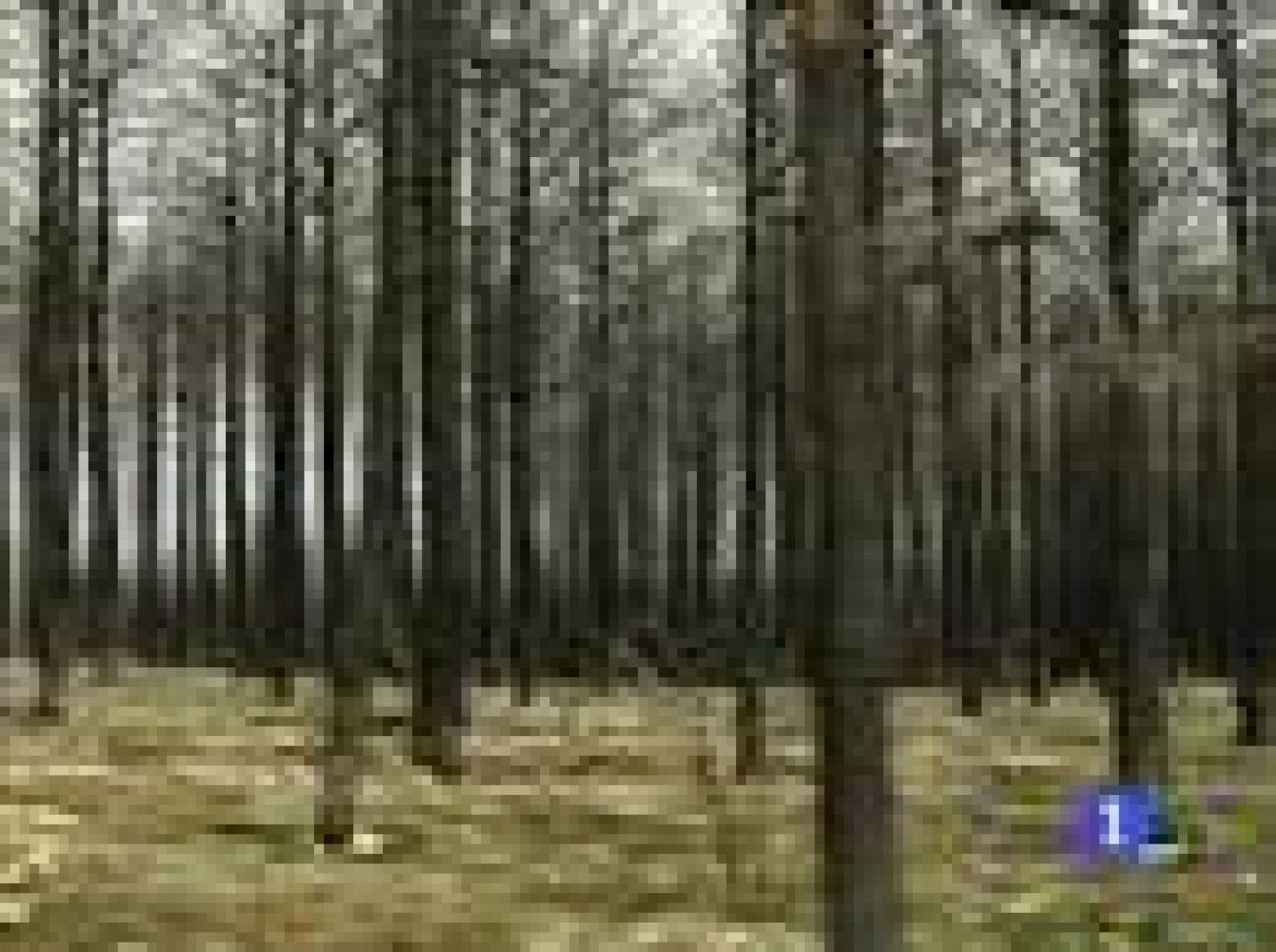 Hace justo un año Teruel sufrió una devastadora ola de incendios