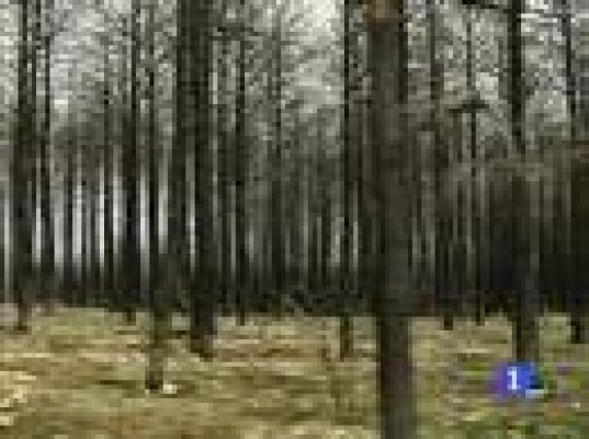  - Un año de los incendios de Teruel