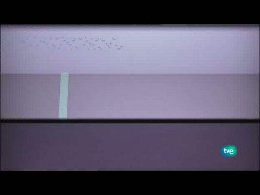 Jóvenes solistas - Jóvenes solistas - 01/08/10