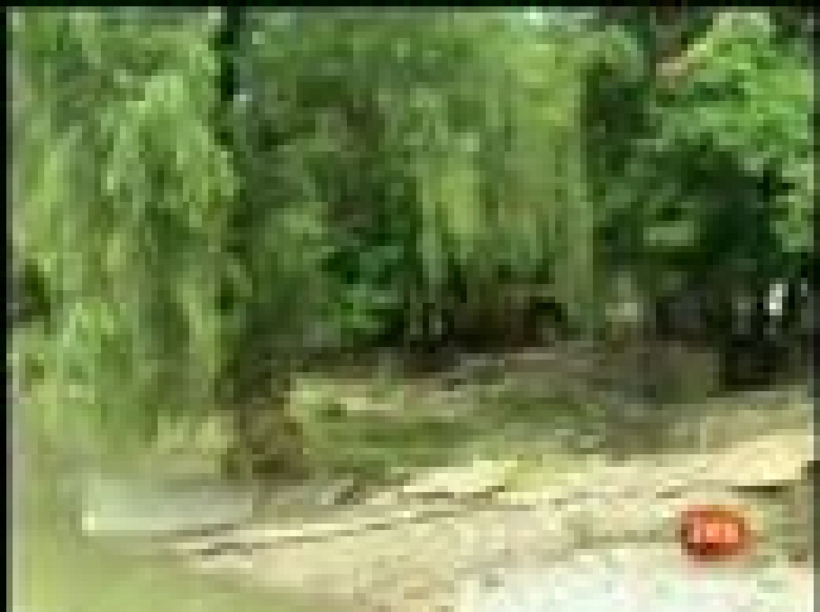 Los equipos de rescate han localizado otro cadáver de una mujer que podría ser el de uno de los tres jóvenes españoles desaparecidos en México.