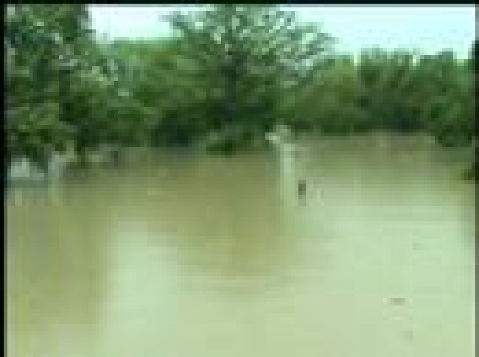 Identificado el cuerpo de Irene Carbó en México | Ver