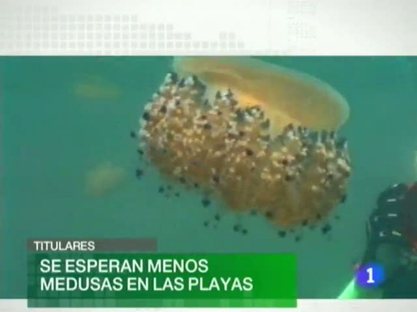 Noticias Murcia: Noticias Murcia - 05/08/10 | RTVE Play